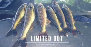 Brainerd Fishing Guide Report 5-30-16