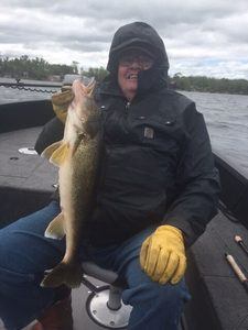 Walleye caught with MN Fishing Guide Todd Andrist