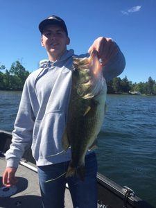 Largemouth bass caught in the Brainerd Lakes Area