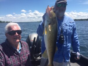 Walleye caught by MN Fishing Guide Todd Andrist