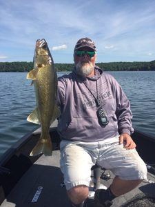 Walleye caught with MN Fishing Guide Todd Andrist