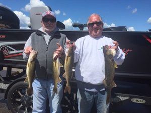 Walleye caught with MN Fishing Guide Todd Andrist in the Brainerd Lakes Area